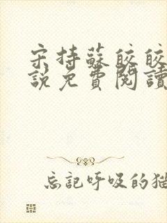 宋持苏皎皎的小说免费阅读