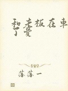 和老板在车里做了爱