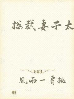 总裁妻子太诱人