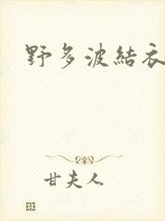 野多波结衣