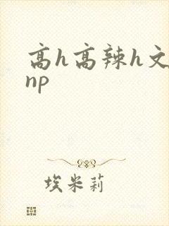 高h高辣h文乱np