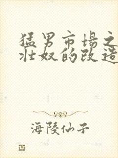 猛男市场之肌肉壮奴的改造