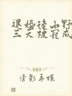 退婚后山野糙汉三天被宠成宝小说