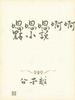 嗯嗯嗯啊啊轻一点小说