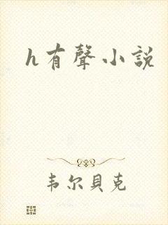 h有声小说