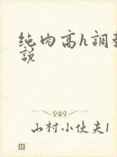 纯肉高h调教小说