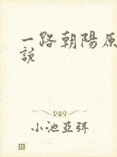 一路朝阳原著小说