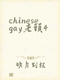 chinesegay老头4封面