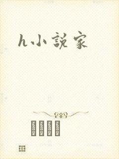 h小说家封面