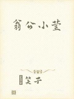 翁公小莹封面