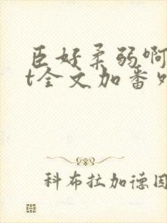 臣好柔弱啊txt全文加番外