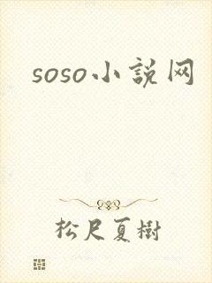 soso小说网封面
