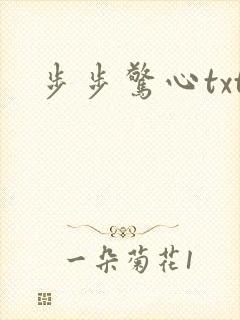 步步惊心txt