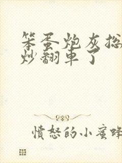 笨蛋炮灰总被爆炒翻车了封面