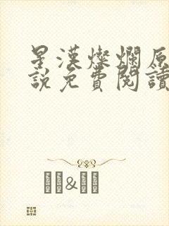 星汉灿烂原著小说免费阅读