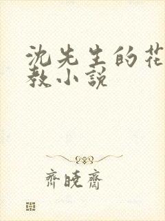 沈先生的花式调教小说