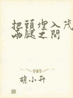 把头埋入茂密的两腿之间封面