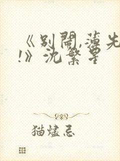 《别闹,薄先生!》沈繁星