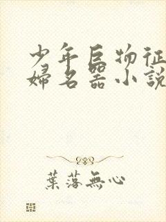 少年巨物征服美妇名器小说