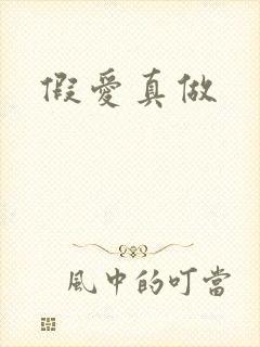 假爱真做