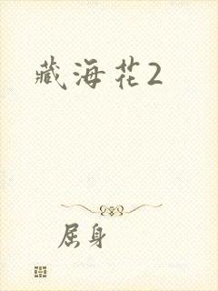 藏海花2