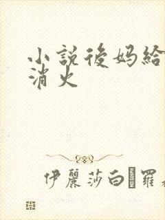 小说后妈给我消消火