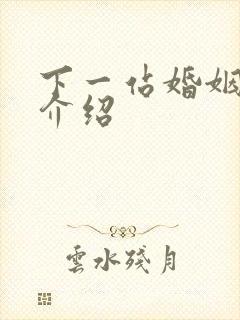 下一站婚姻剧情介绍