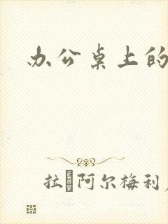 办公桌上的美味