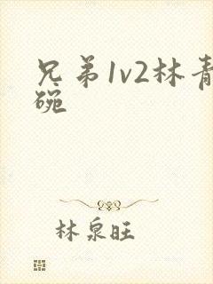 兄弟1v2林青碗