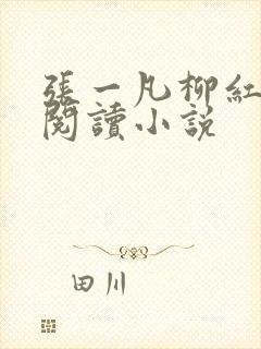 张一凡柳红免费阅读小说