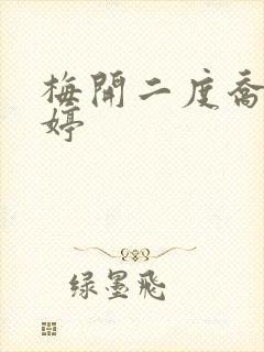 梅开二度乔枫李婷封面