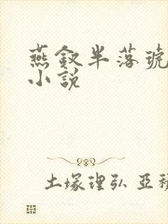 燕钗半落琥珀糖小说