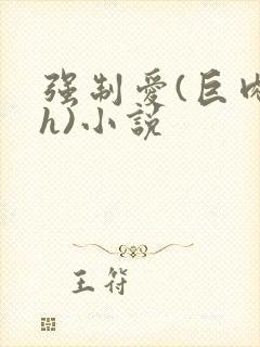 强制爱(巨肉高h)小说