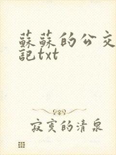 苏苏的公交车日记txt