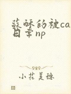 苏酥的被cao日常np