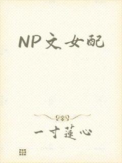 NP文女配