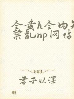 全黄h全肉短篇禁乱np网站