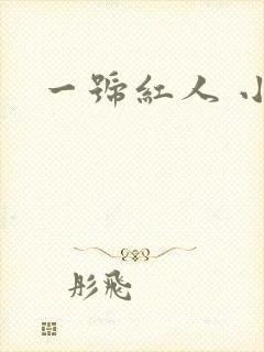 一号红人 小说