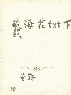 藏海花txt下载