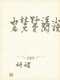 山林野汉小说全篇免费阅读封面