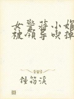 女警蒋小娟的奶被领导吃掉了封面