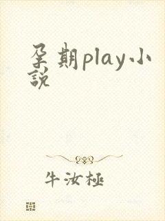 孕期play小说