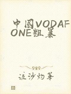 中国VODAFONE粗暴