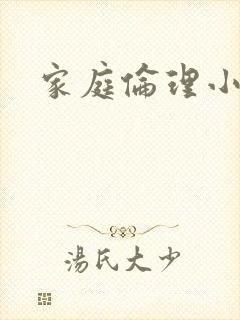 家庭伦理小说封面