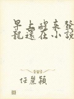 早上醒来发现巨龙还在小说