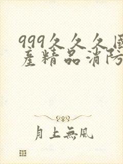 999久久久国产精品消防器材