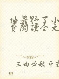 他最野了小说免费阅读全文