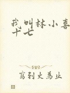 我叫林小喜今年十七封面