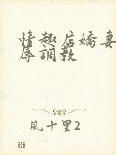 情趣店娇妻被屈辱调教封面