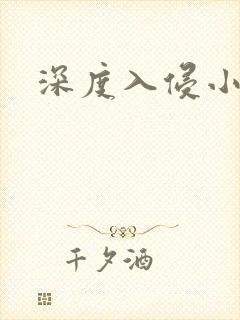 深度入侵小说封面
